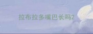 拉布拉多嘴巴长吗