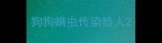 狗狗螨虫传染给人