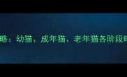 猫咪疫苗接种全攻略幼猫成年猫老年猫各阶段时间表与注意事项