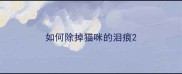 如何除掉猫咪的泪痕