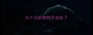 九个月的狗狗牙齿松了