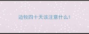 边牧四十天该注意什么