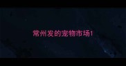 常州发的宠物市场