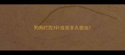 狗狗打完3针疫苗多久驱虫