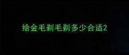 给金毛剃毛剃多少合适