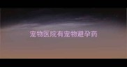 宠物医院有宠物避孕药