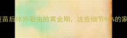 幼宠必看疫苗后体外驱虫的黄金期这些细节90的家长都忽略了