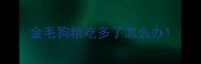 金毛狗粮吃多了怎么办