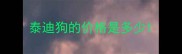 泰迪狗的价格是多少