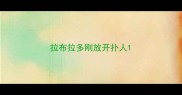 拉布拉多刚放开扑人