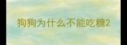 狗狗为什么不能吃糖