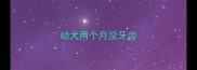 幼犬两个月没牙齿