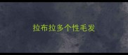 拉布拉多个性毛发