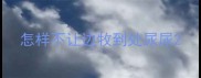 怎样不让边牧到处尿尿