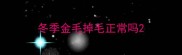 冬季金毛掉毛正常吗