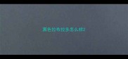 黑色拉布拉多怎么样