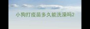 小狗打疫苗多久能洗澡吗