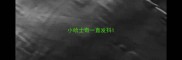 小哈士奇一直发抖