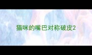 猫咪的嘴巴对称破皮
