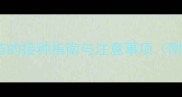 狗狗必打勾端疫苗的接种指南与注意事项附疫苗类型选择全