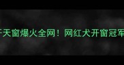 哈士奇开天窗爆火全网网红犬开窗冠军养成记