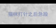 猫咪打针之后急躁