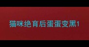 猫咪绝育后蛋蛋变黑