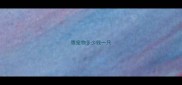 鹰宠物多少钱一只