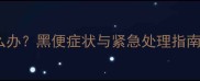 2个月大幼犬黑便怎么办黑便症状与紧急处理指南附专业兽医建议