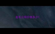 金毛公母价格多少
