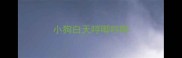 小狗白天哼唧哼唧
