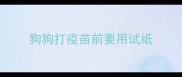 狗狗打疫苗前要用试纸