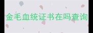 金毛血统证书在吗查询