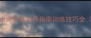 CKU认证纯种哈士奇价格饲养指南训练技巧全附真实案例