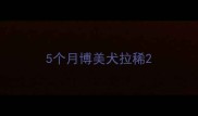 5个月博美犬拉稀