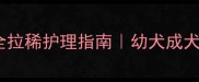 狗狗腹泻别慌全网最全拉稀护理指南幼犬成犬通用附紧急处理法