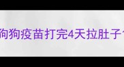 狗狗疫苗打完4天拉肚子