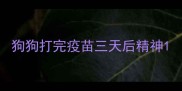 狗狗打完疫苗三天后精神
