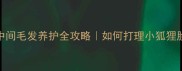 哈士奇头部中间毛发养护全攻略如何打理小狐狸脸的标志性绒毛
