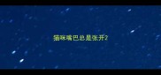 猫咪嘴巴总是张开