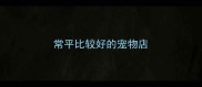 常平比较好的宠物店
