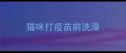 猫咪打疫苗前洗澡