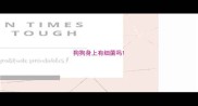 狗狗身上有细菌吗