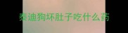 泰迪狗坏肚子吃什么药