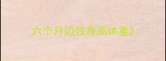 六个月边牧身高体重