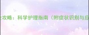 边牧换毛全攻略科学护理指南附症状识别与应对技巧