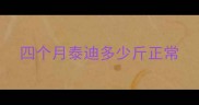 四个月泰迪多少斤正常