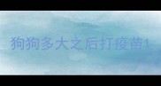 狗狗多大之后打疫苗