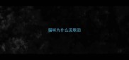 猫咪为什么流眼泪