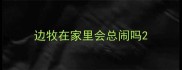 边牧在家里会总闹吗